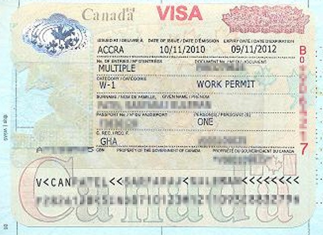 Fake visa